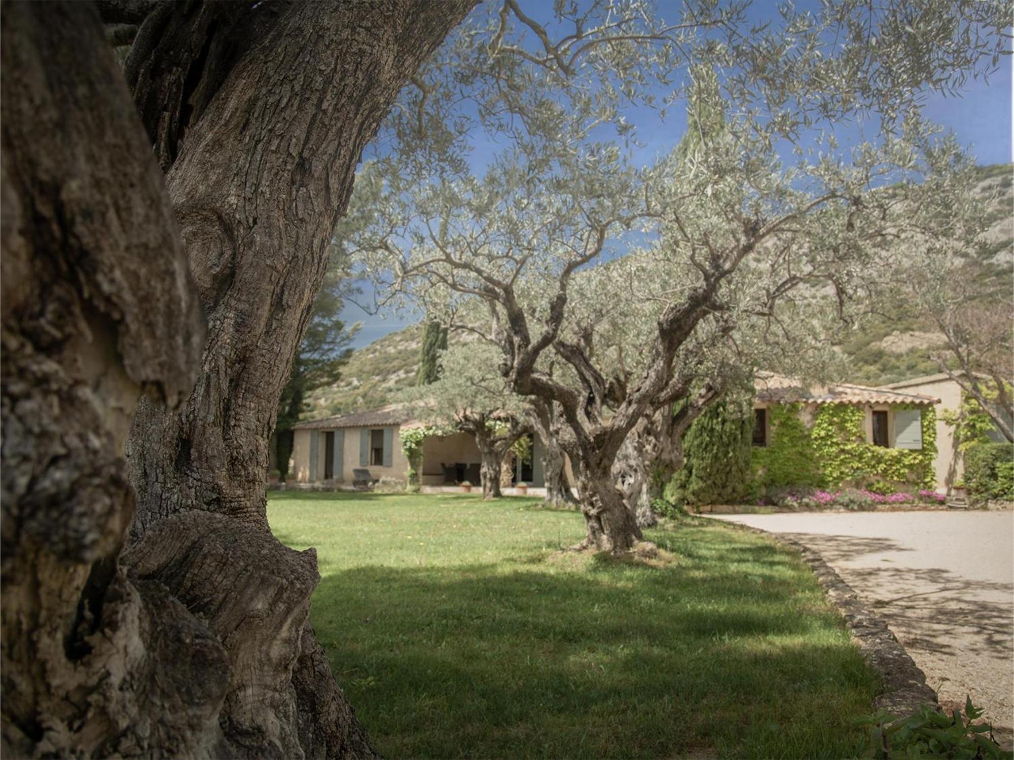 Le Mas Romarin Vila Beaumes-de-Venise Exterior foto