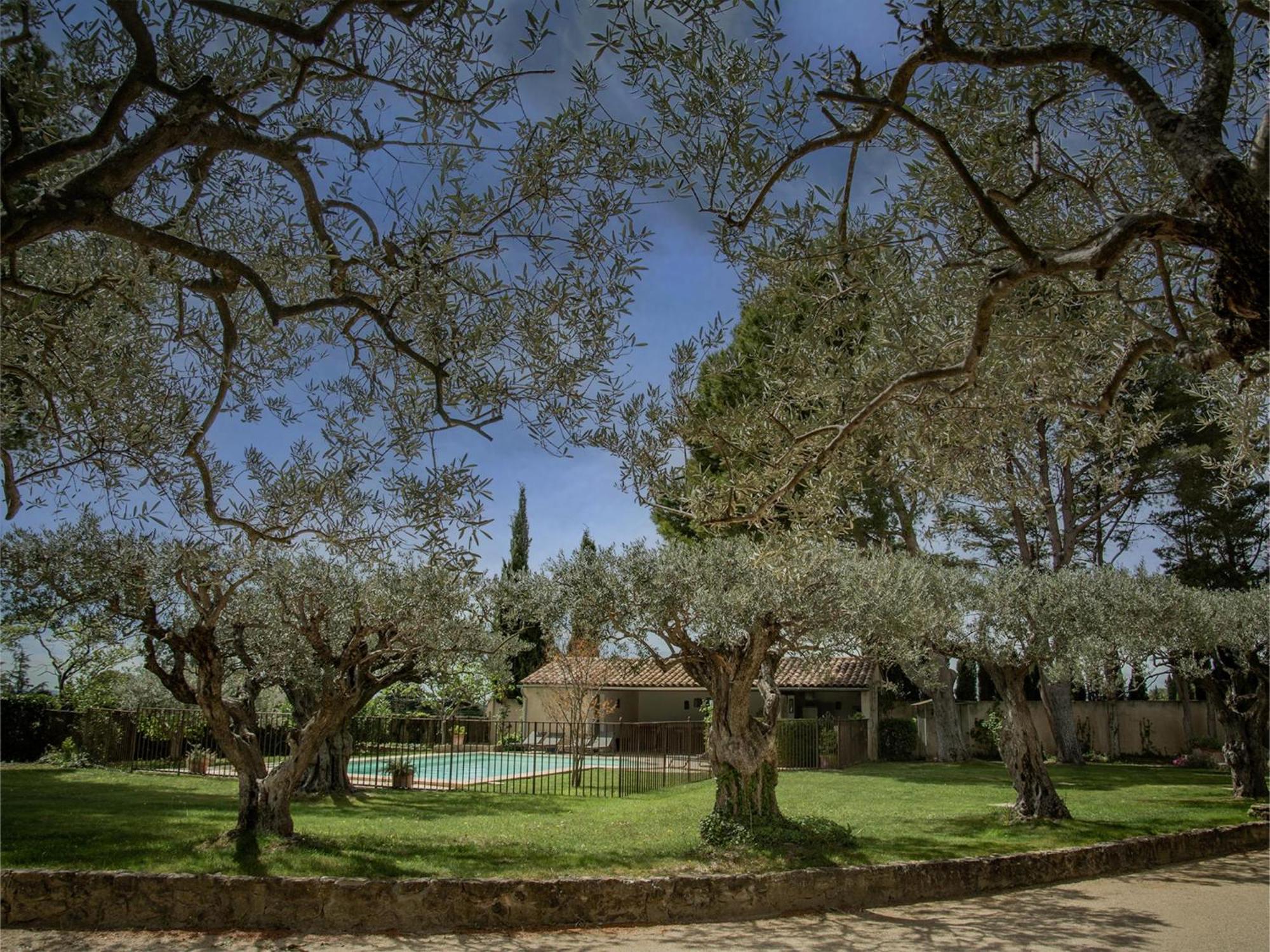 Le Mas Romarin Vila Beaumes-de-Venise Exterior foto